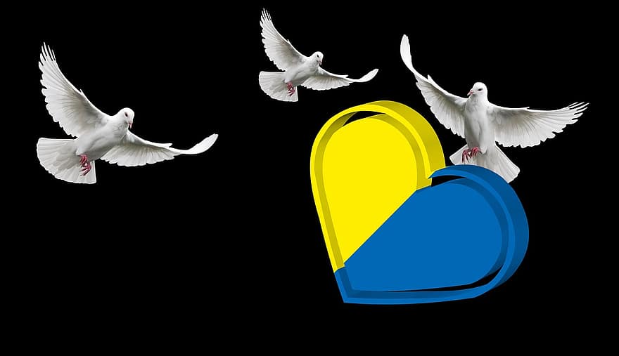 우크라이나, 평화, 연대, 평화의 새, 상징, 자유, 유럽, 나는, 비둘기, 갈매기, 삽화