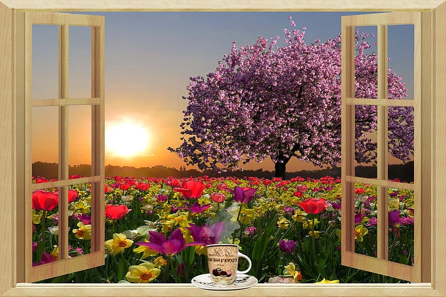 Selamat pagi, musim semi, suasana hati, bunga-bunga, magnolia, matahari, matahari terbit, berkembang, kopi, cangkir kopi, minum kopi
