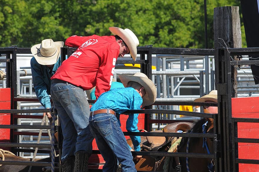 Cowboy, Rodeo, Cowboy Hat, Bronco, Horse, Saddle, Western, Family, men, farm, rural scene