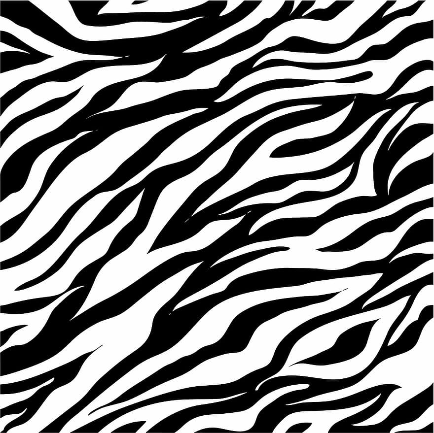 zvíře tisk, Černý a bílý, Černá, bílý, zebra, vzory, Pozadí