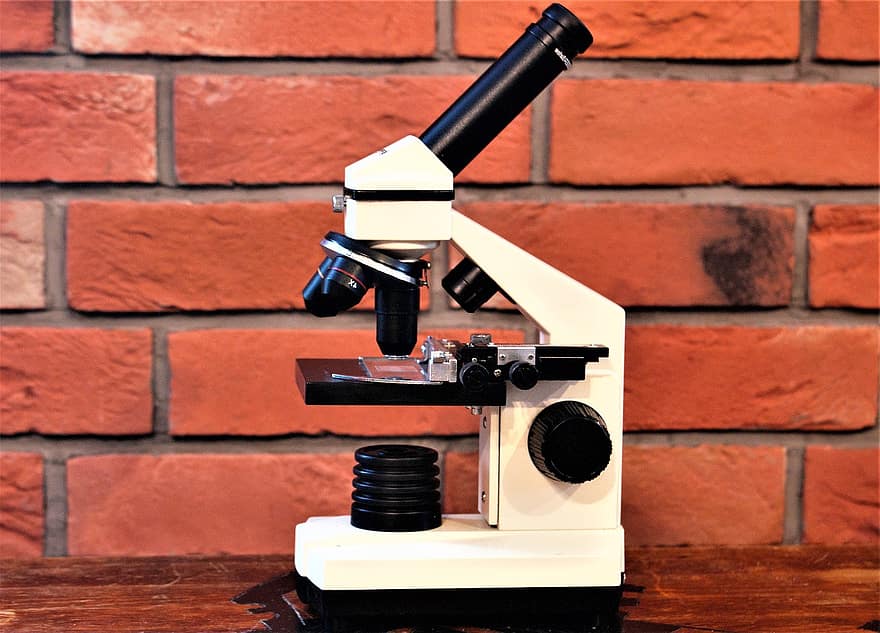mikroskop, virus, hälsa, biologi, vetenskap, Utrustning, utbildning, forskning, laboratorium, förstoring, teknologi