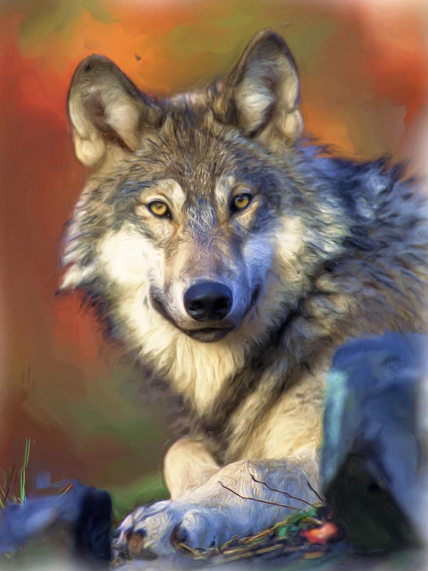 Painting, Oil Painting, Photo Painting, Wolf, Wolf Head, Predator, Art, Artwork, Creative, Animal Portrait, Digital Art