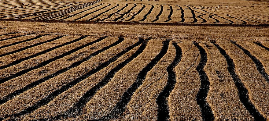 Field, Rural, Outdoors, Land, sand, dirt, sand dune, pattern, landscape, dry, backgrounds