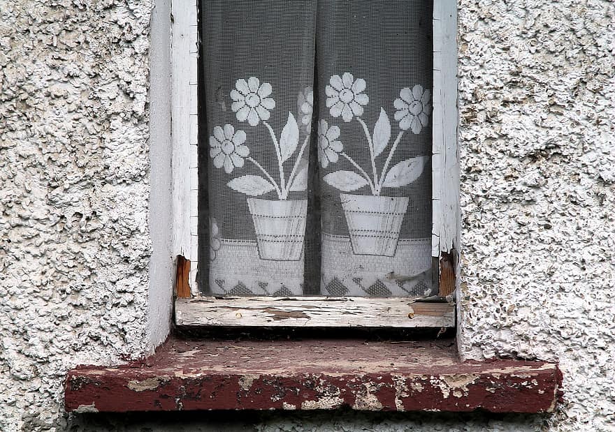 okno, zasłony, kwiaty, parapet