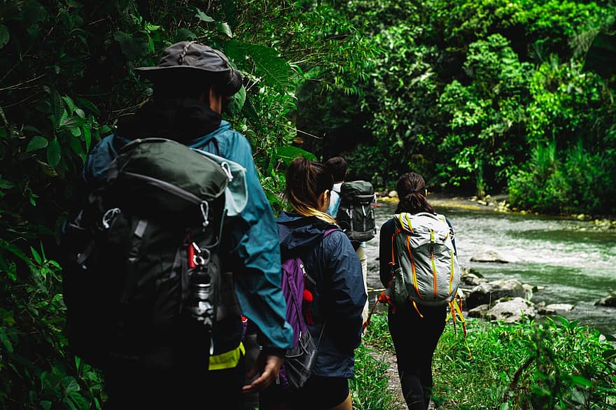 vandring, Skov, flod, mennesker, trekking, backpacking, rejse, ferie, gruppe, fritid, rekreation
