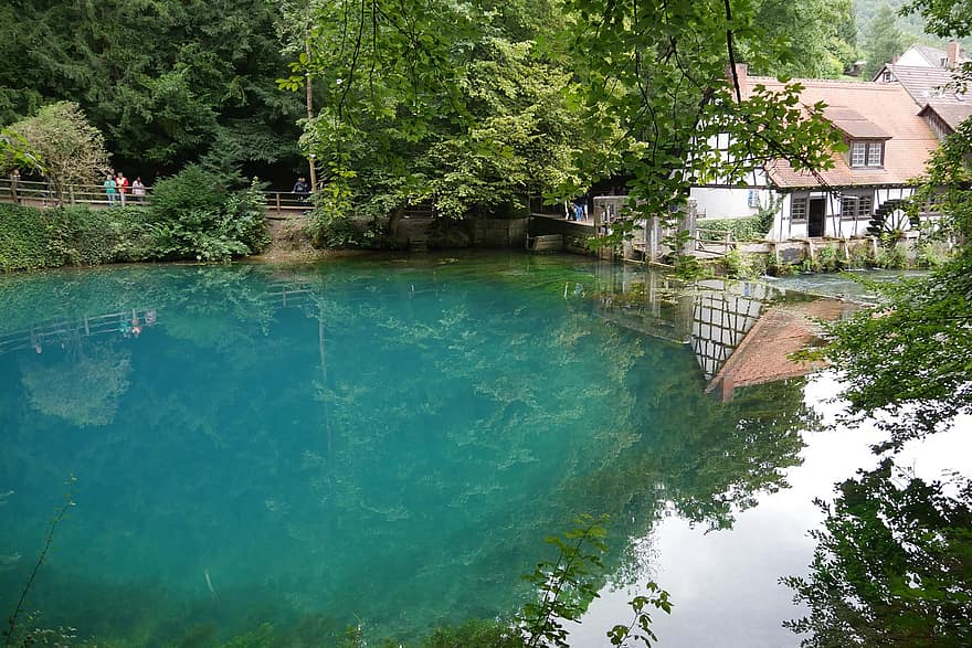 Blaubeuren, Tyskland, innsjø, natur, sommer, vann, tre, skog, grønn farge, landskap, dam