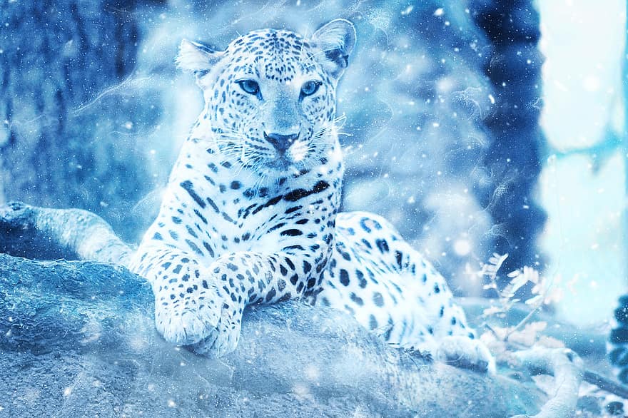 leopardo, selvagem, animal, neve, arte, vintage, inverno, natureza, decorativo, arte azul