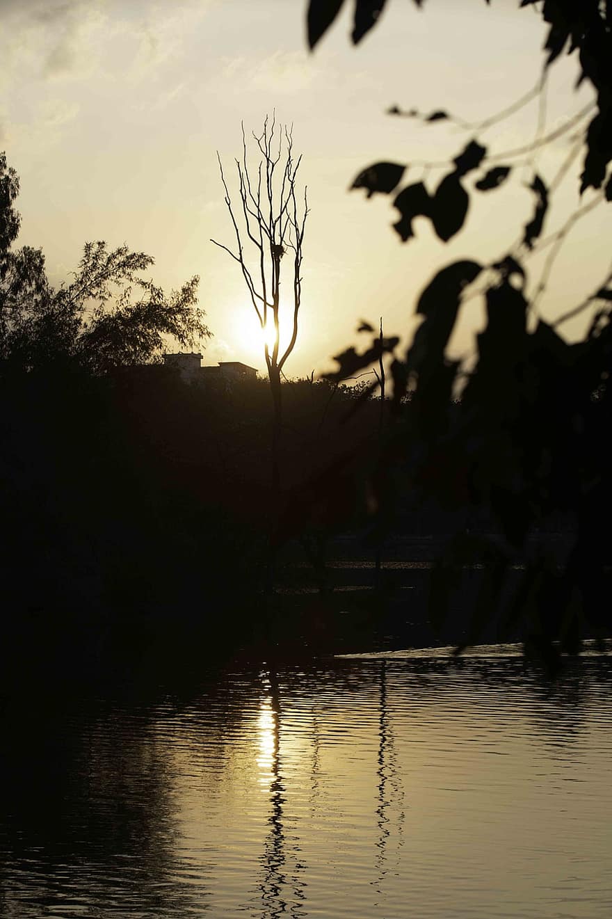 lago, Carro armato Sankey, tramonto, fiume, sole della sera, cielo serale, Kodandaramura, Malleswaram, Bangalore, Karnataka, albero
