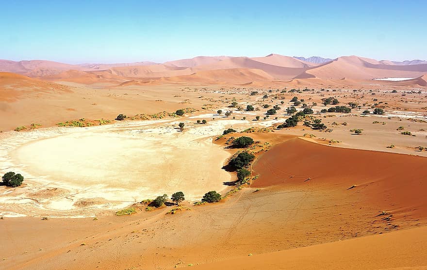 pustynia, wydmy, krajobraz, krzewy, suchy, gorąco, Natura, Namibia, piasek, wydma, Afryka