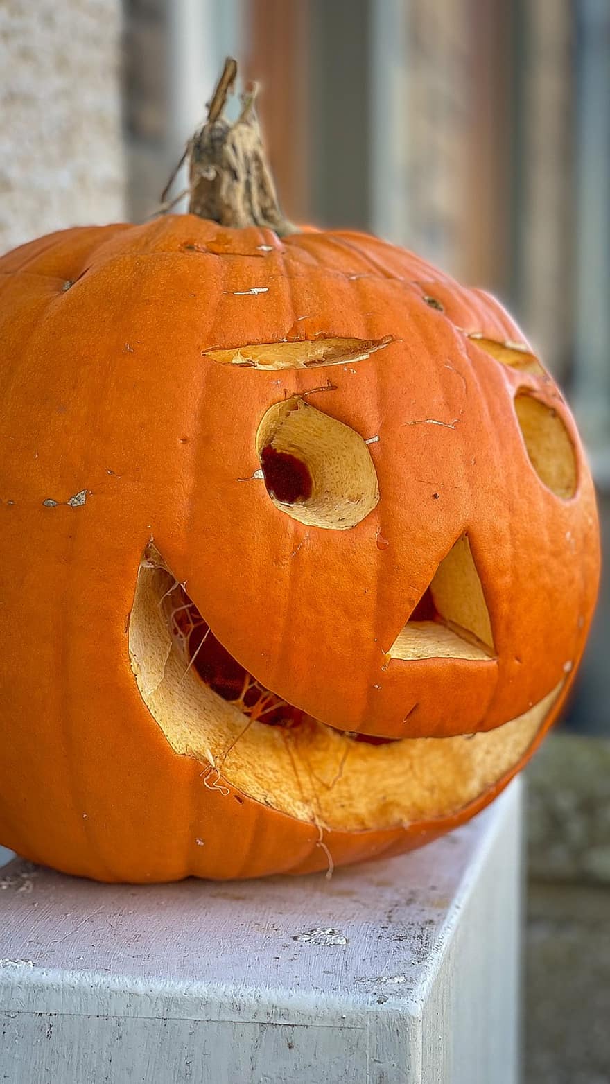 carbassa, Halloween, fantasmal, por, octubre, tardor, llanterna, horror, somrient, temporada, vegetals