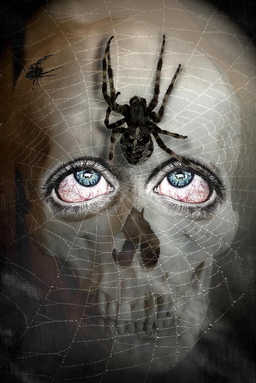 Halloween2019, crânio, caveira e ossos cruzados, girar, esquisito, Horror, osso do crânio, face, cripta, olhos, teia de aranha