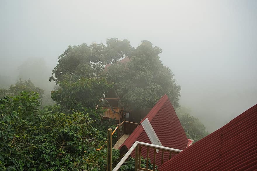 at rejse, Hotel, indkvartering, tåge, ferie, natur, bjerge, Minca, Colombia