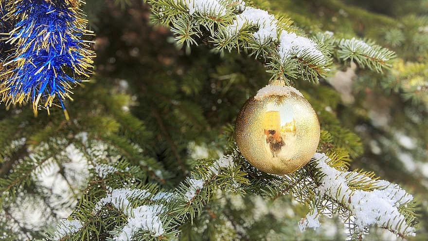 Ornaments, Christmas Tree, Christmas Baubles, Snow, Holidays, Spruce, tree, decoration, winter, close-up, season