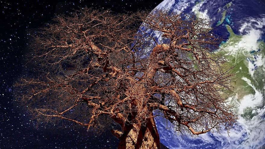أرض ، كون ، الجنة ، ليل ، شجرة ، الخيال العلمي