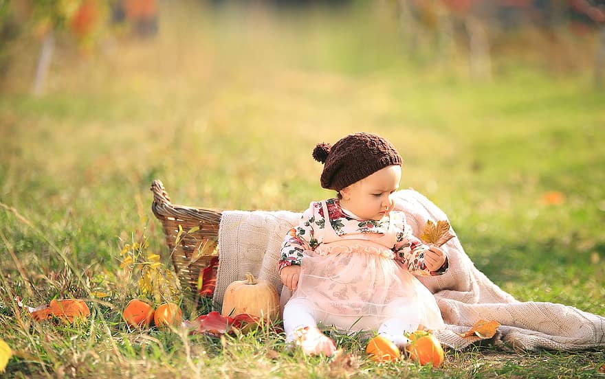 bébé, l'automne, bonnet, bambin, motif d'automne, panier, panier de bébé, fille, petite fille, parc, la nature