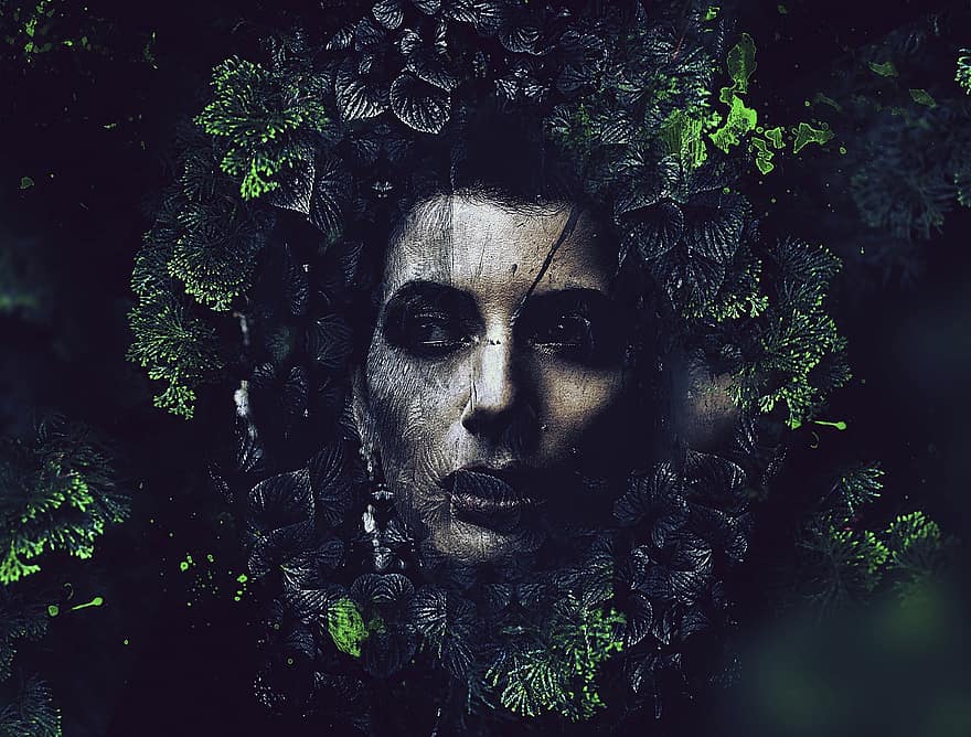 kvinna, porträtt, overkligt, ansikte, löv, natur, mystisk, en person, kvinnor, män, vuxen