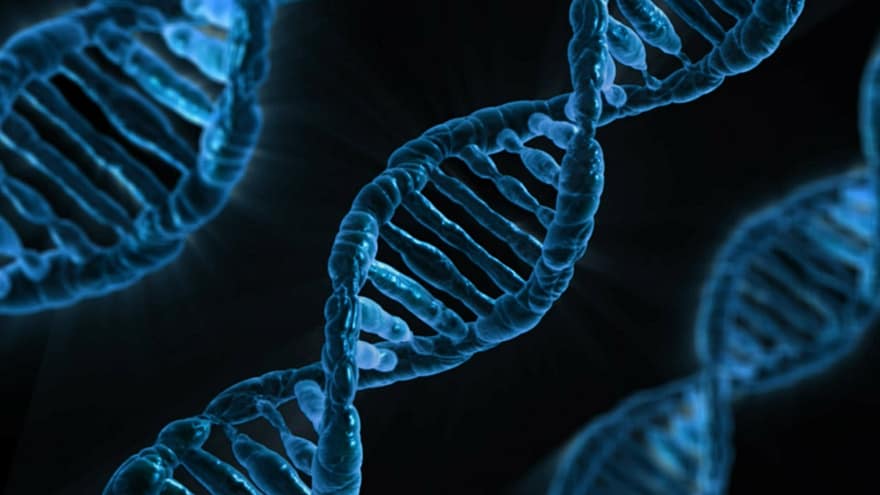 ADN-ul, biologie, medicament, genă, microbiologie, analiză, experienţă, uman, laborator