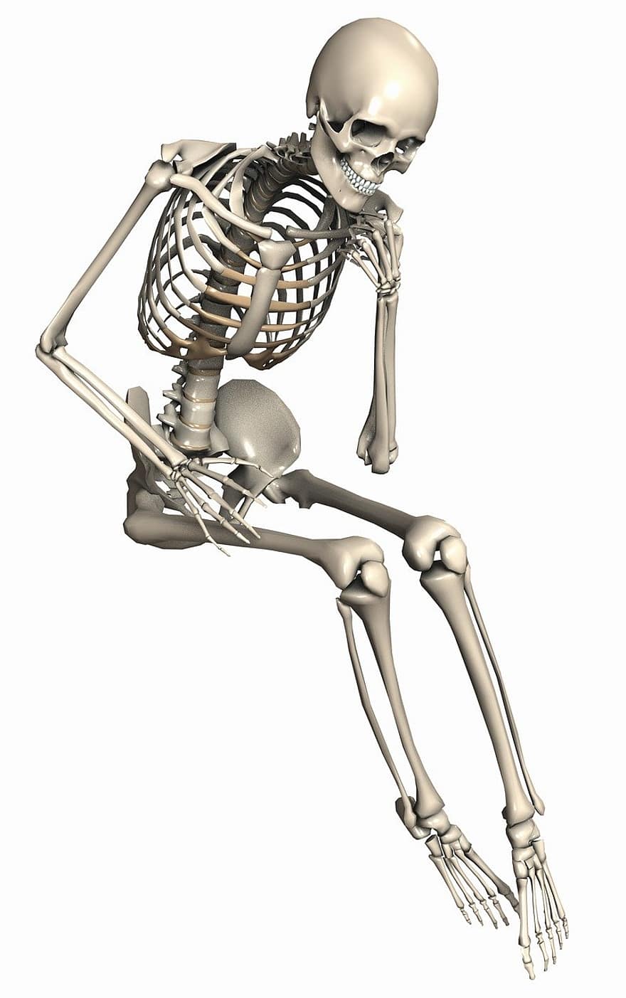 해골, 좌석, 여자, 골격, 뼈대, 내부 스켈레톤, 뼈, 디지털 아트, 3d, 자세, 포즈를 취하는