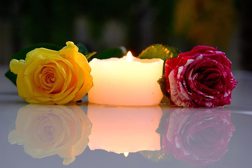 mawar, lilin, refleksi, bunga-bunga, pasangan, kelopak, kelopak mawar, berkembang, mekar, mawar mekar, cahaya lilin