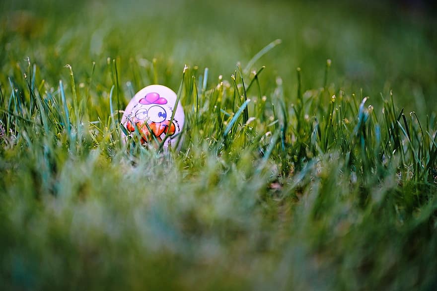 Пасхальне яйце, зварене круто яйце, Великдень, трави, зелений колір, весна, впритул, різнокольорові, луг, сезон, літо