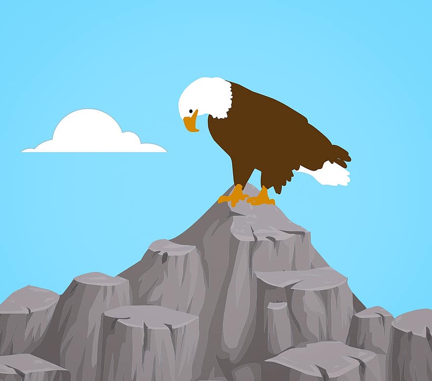 águila, calvo, volar, naturaleza, americano, aterrizaje, montaña, cielo, animal, nubes, pájaro