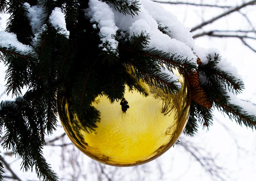 briks, juletræ, sne, guld bauble, juleknude, julekugle, ornament, træ ornament, dekoration, jul ornament, juledekoration