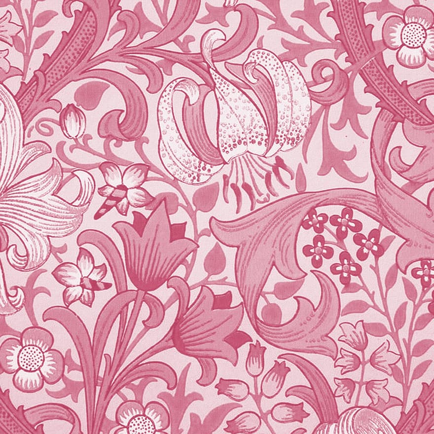 Background, Swirl, Pink, Frame, Abstract, Design, Romantic, Vintage, Stylish, Soft, Plumage