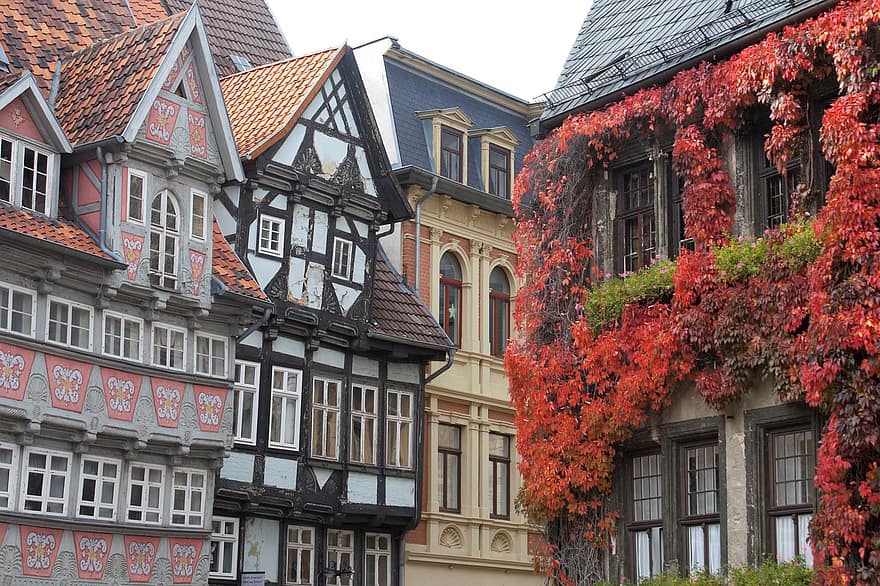 съцветие, архитектура, къща, Кведлинбург, Саксония-