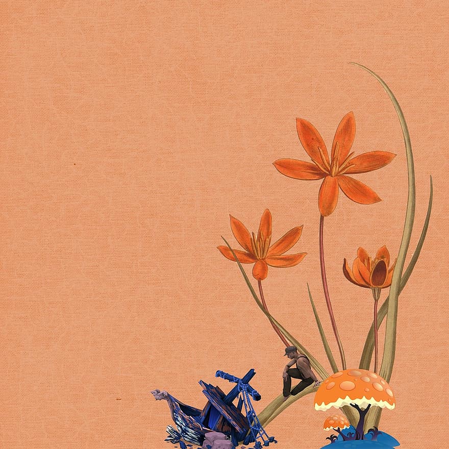 textura, flor, cogumelo, laranja, naufrágio, homem, flor de laranjeira