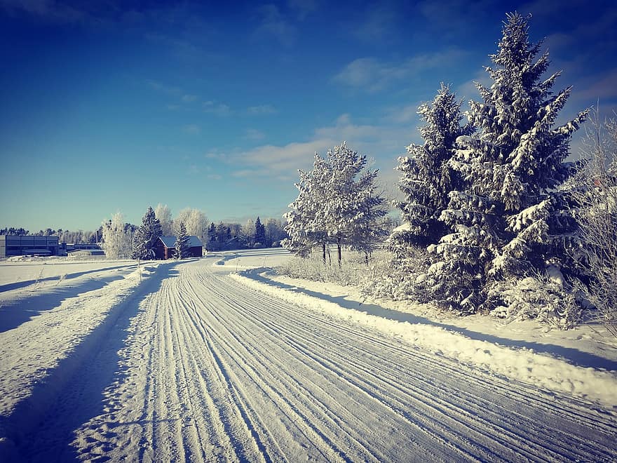 hó, út, fák, mező, gumiabroncs pályák, tűlevelűek, toboztermő fa, télies, dér, téli, téli táj