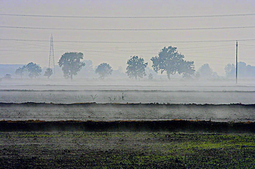 Field, Fog, Risaia, Nebbia