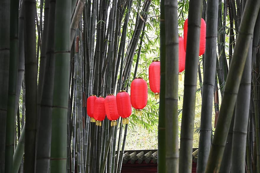 lanterna, decorazione, tradizionale, arte, culture, bambù, pianta, foglia, cultura giapponese, colore verde, albero