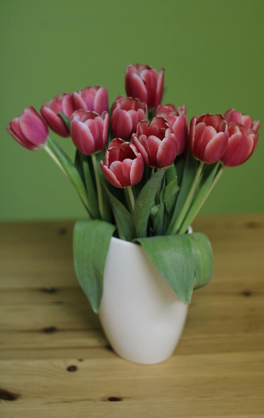 blomster, tulipaner, flora, flor, blomstre, botanik, vase, bord, dekoration, forår, tulipan