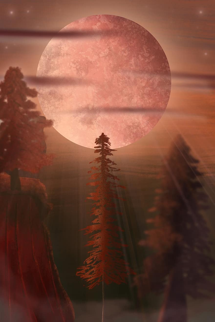 röd, måne, träd, nostalgisk, solnedgång, natt, vetenskap, rymden, galax, illustration, bakgrunder