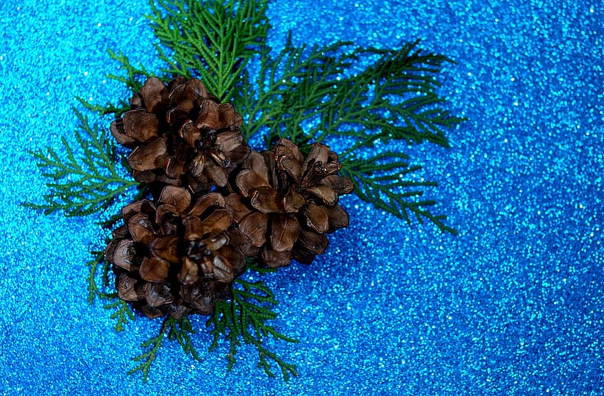 Pine Cones, Decoration, Holiday, Season