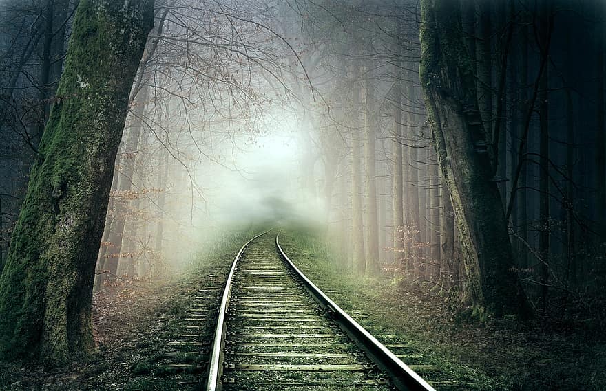 fonas, geležinkelis, miškas, fantazija, rūkas, medžiai, traukinio bėgiai, bėgiai, pobūdį, kraštovaizdį, tamsus