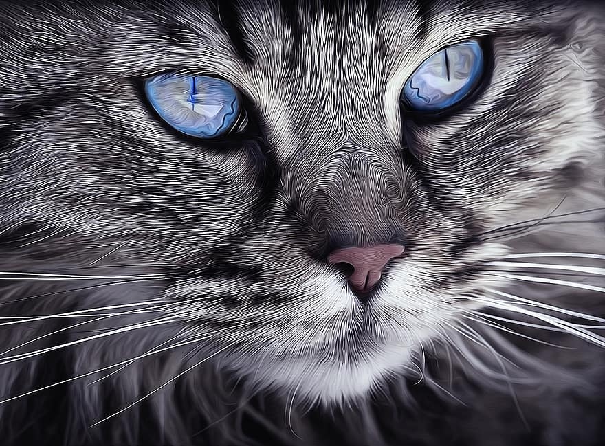 Cat, Animal, Cat Portrait, Cat's Eyes, Tiger Cat, Domestic Cat, Fur, Pet, Animal World, Mammal, Feline