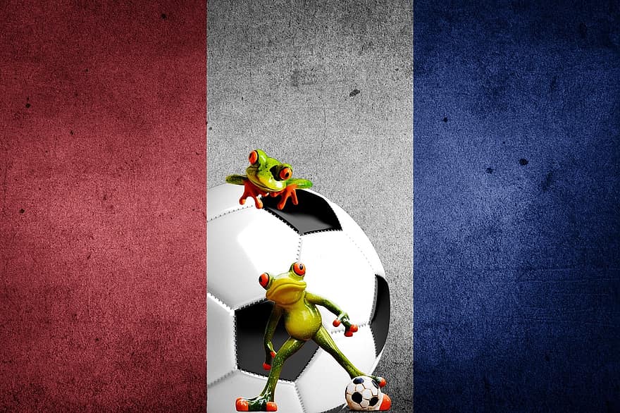 europeisk mesterskap, Fotball, 2016, Frankrike, turnering, konkurranse, sport, spille, frosker, morsom, søt