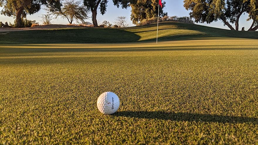 golf, bola golf, lapangan golf, bendera golf, Arizona, sore, di luar, pohon, rumput, bidang, olahraga