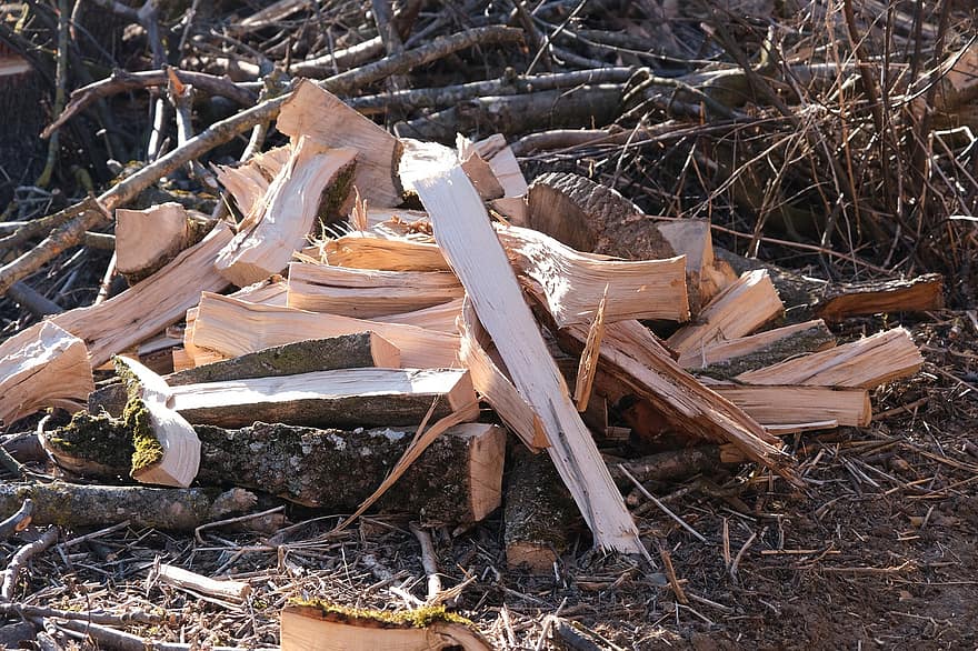 kayu, log, kayu bakar, api unggun, api, hutan, tumpukan, tumpukan kayu, pohon, industri kayu, batang pohon