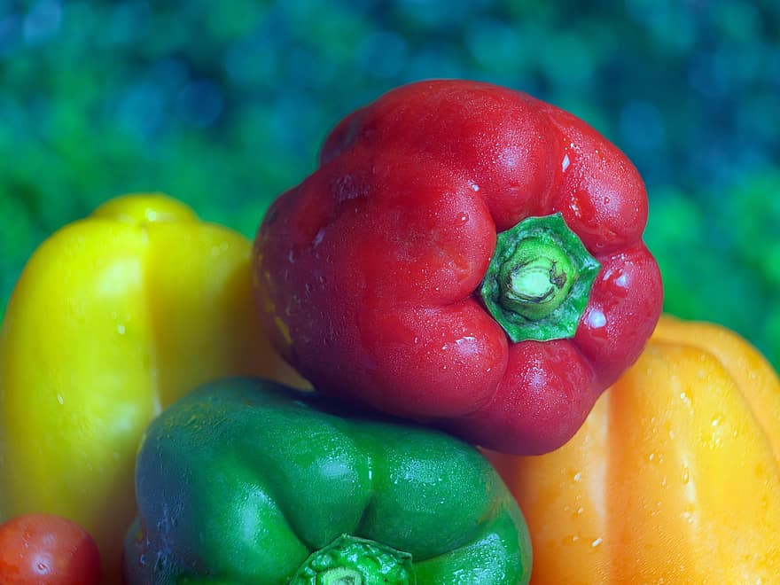 paprika, grönsaker, mat, spansk peppar, producera, organisk, hälsosam, färgrik