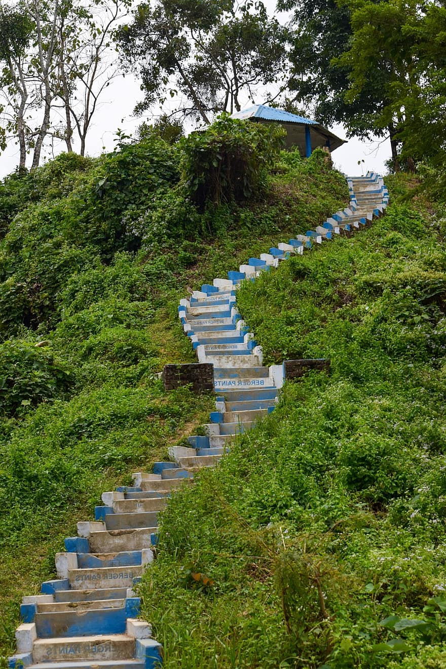 Colina, escadas, arvores, floresta, madeiras, nacional, trilha, cor verde, Escadaria, panorama, verão