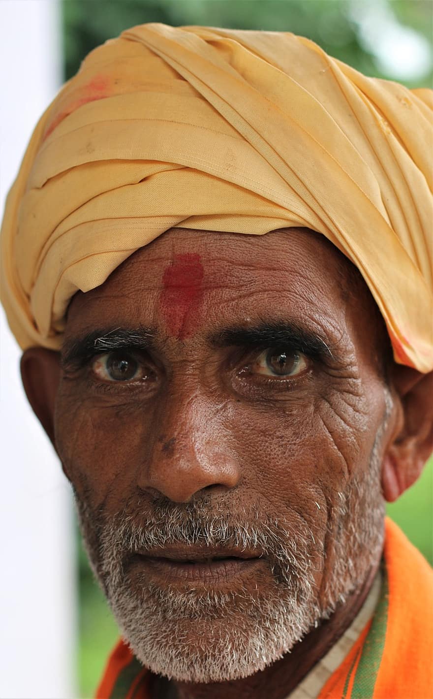 mand, ansigt, person, indien, rajasthan