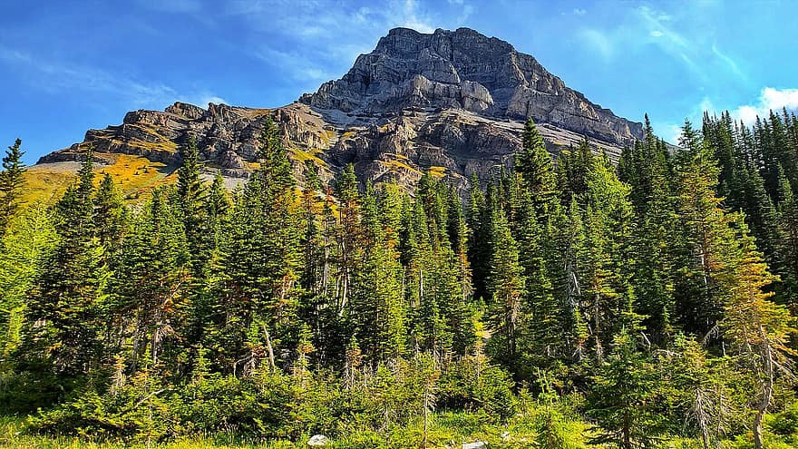 hegy, természet, erdő, banff nemzeti park, fák, tájkép, Látvány, nyári, Alberta, fa, hegycsúcs