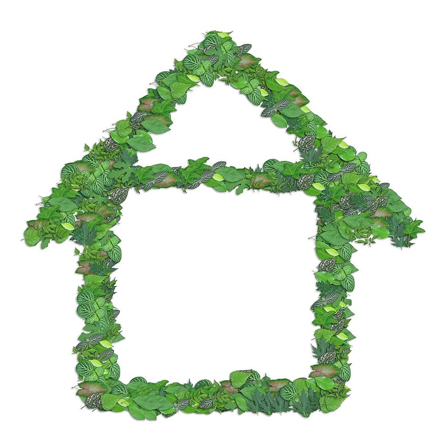 gebladerte, groen, huis, milieu, natuur, blad, natuurlijk, ga groen, gezond, ecologie, onroerend goed