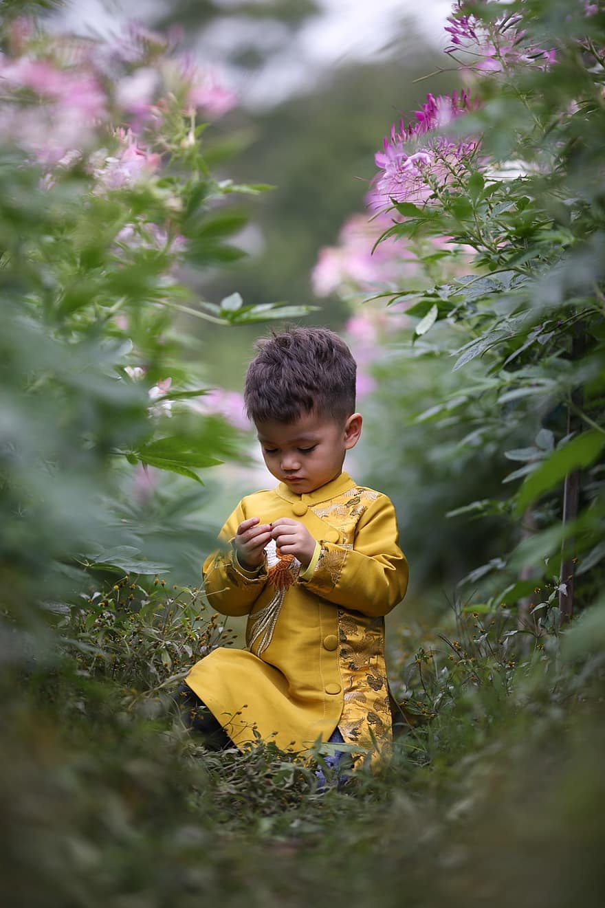 Boy, Kid, Child, Young, Playing, Flowers, Field, Childhood, Outdoors, Play, Fun