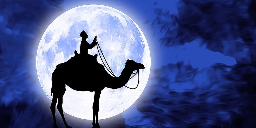 bön-, ramadan, islamisk, muslim, kamel, måne, natt, himmel, fullmåne, galax, silhuett