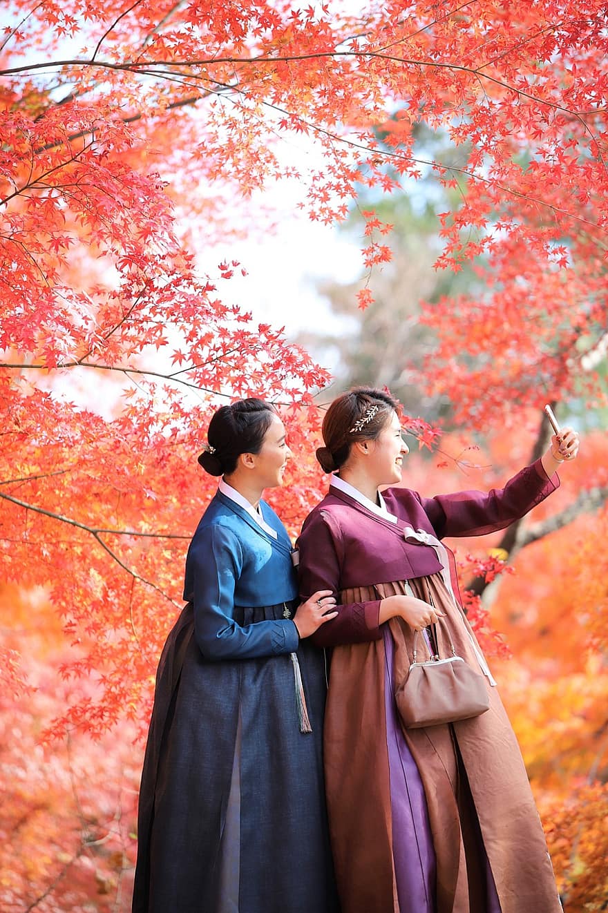 kobiety, selfie, Hanbok, damski, dziewczyny, poza, wolny czas, tradycyjna odzież, drzewa, jesień, spadek