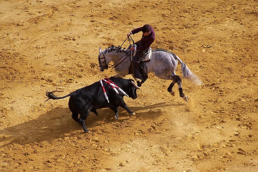 corrida, bika, Spanyolország