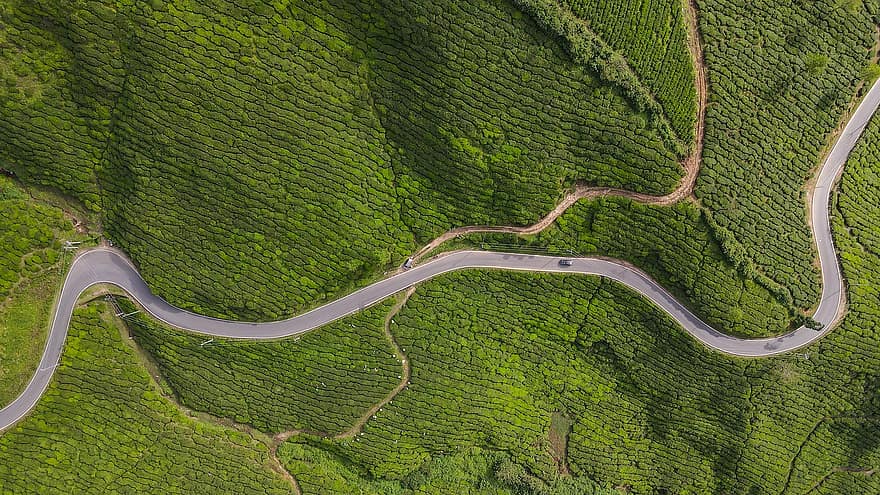 campo, plantas, estrada, chá, plantação de chá, Kerala, drone, aéreo, natureza